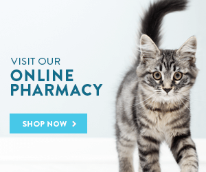 Online Pharmacy Button